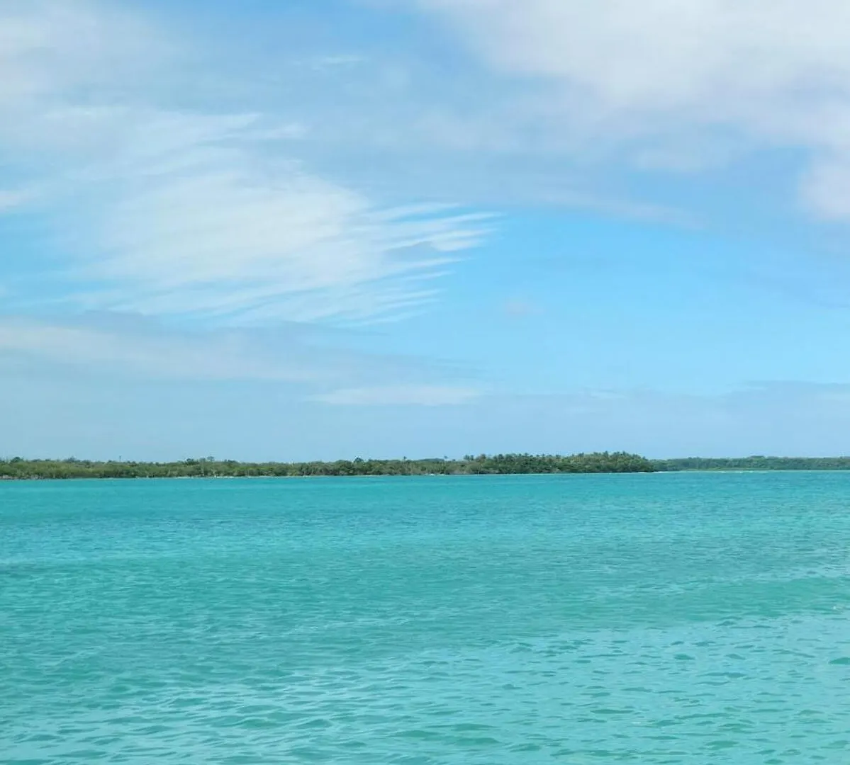 Dream Island Condo Buccoo